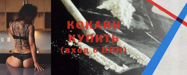 молекула духа Мегион