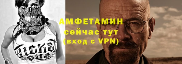 молекула духа Мегион