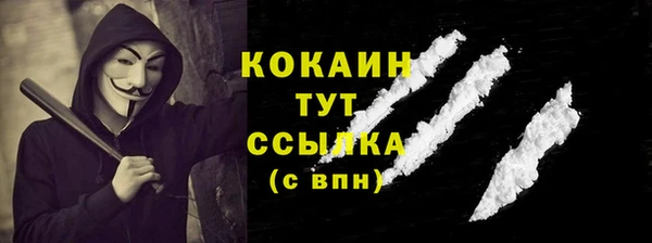 молекула духа Мегион