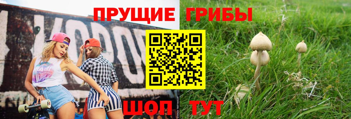 Псилоцибиновые грибы ЛСД  Вход с VPN  Нарьян-Мар 