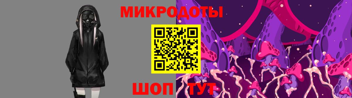 Псилоцибиновые грибы Psilocybe Нарьян-Мар